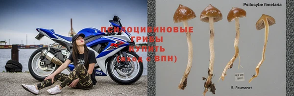 герыч Алексин