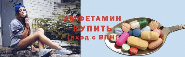 стаф Алзамай