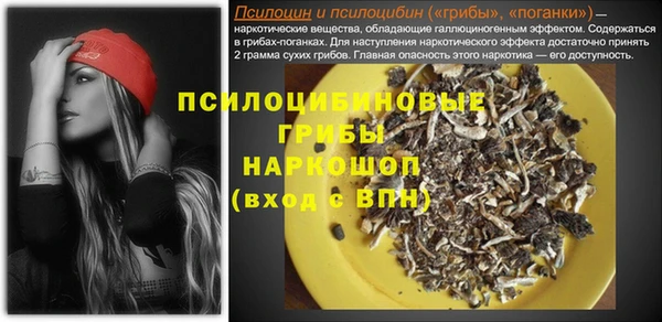 герыч Алексин