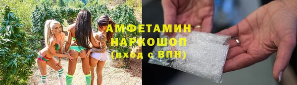 стаф Алзамай