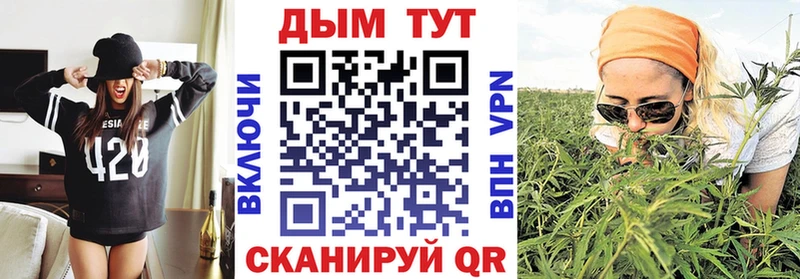 где купить наркоту  Прохладный  Марихуана индика 