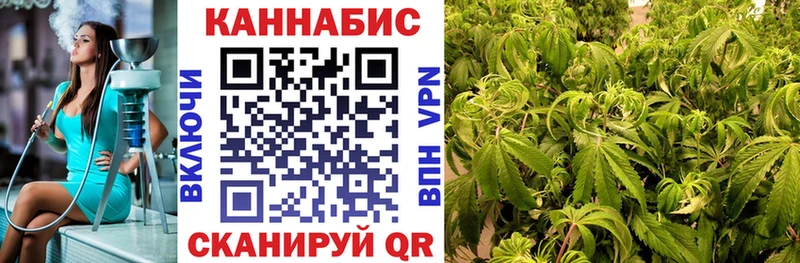 Шишки марихуана OG Kush Прохладный